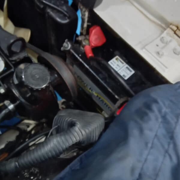 27.03.2025 1974 triumph stage white water pump 2 (16)