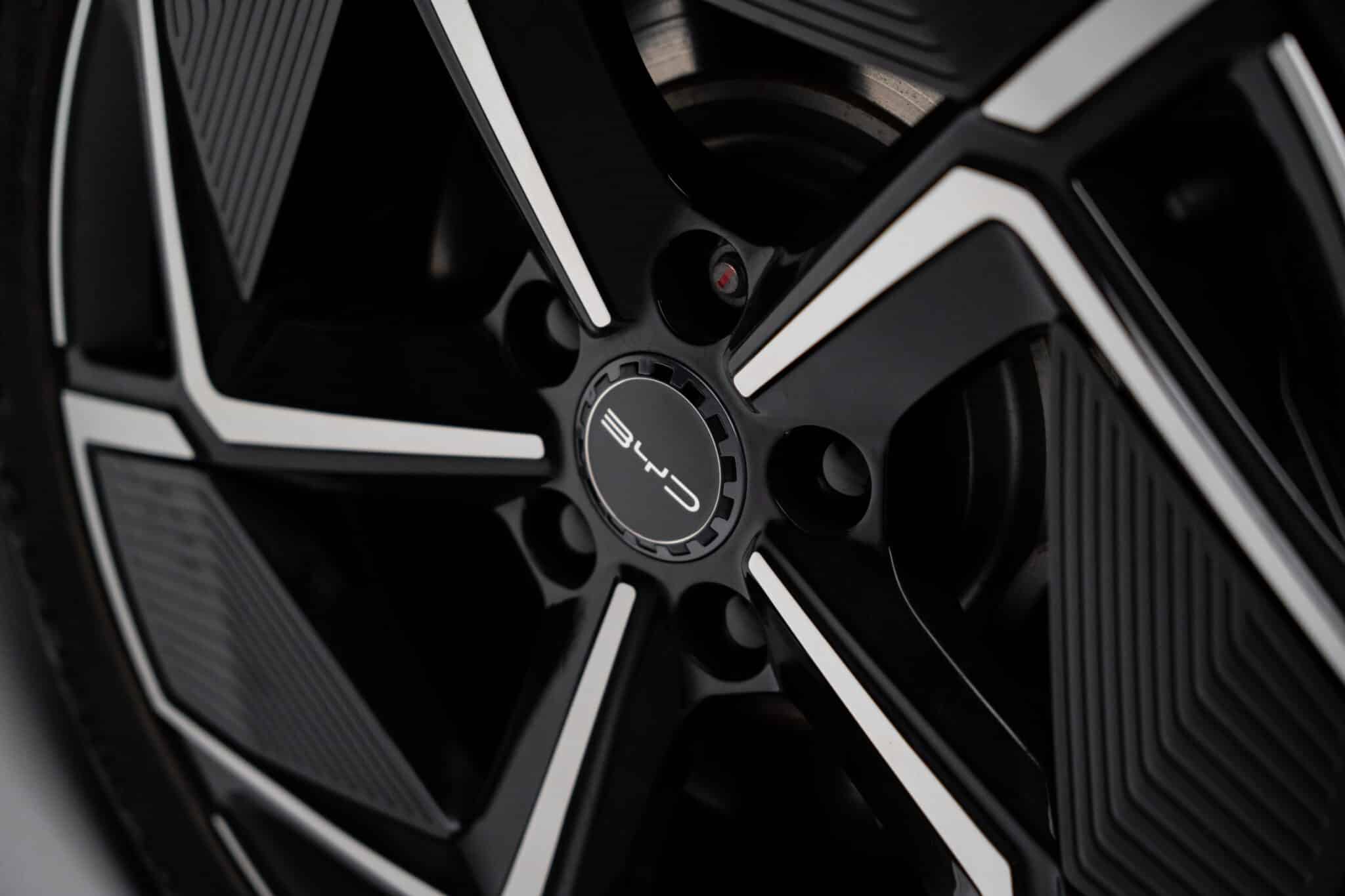 byd calverts 19
