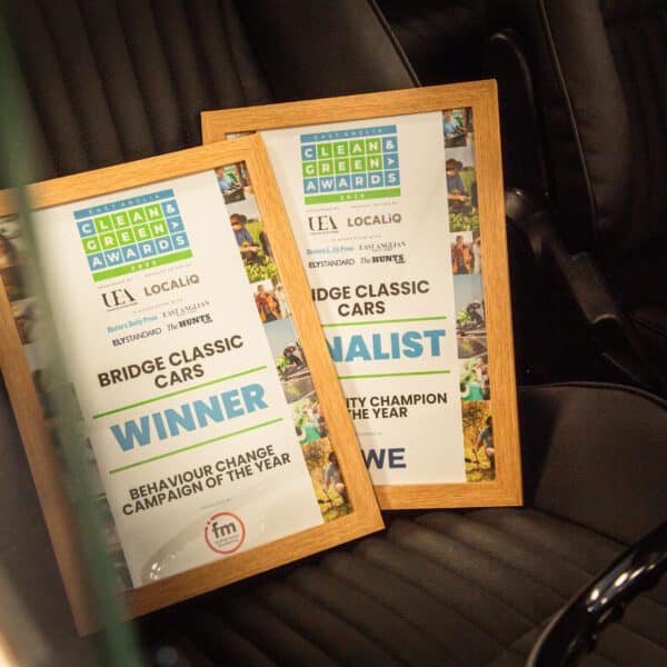 clean and green awards photos