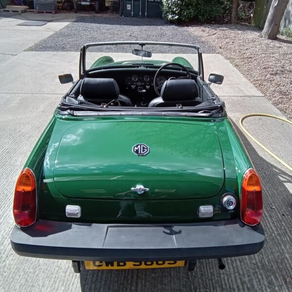 17042025 1978 mg midget in paint (1)