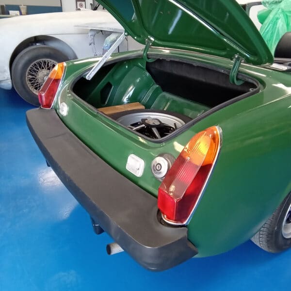 17042025 1978 mg midget in paint (18)