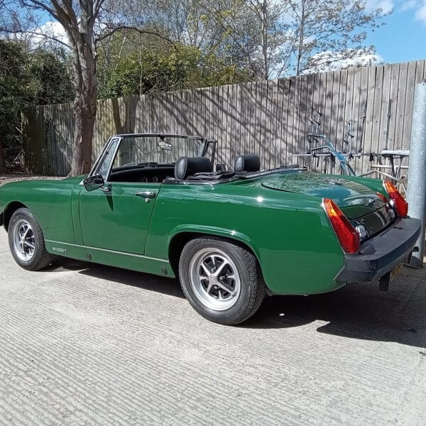 17042025 1978 mg midget in paint (2)