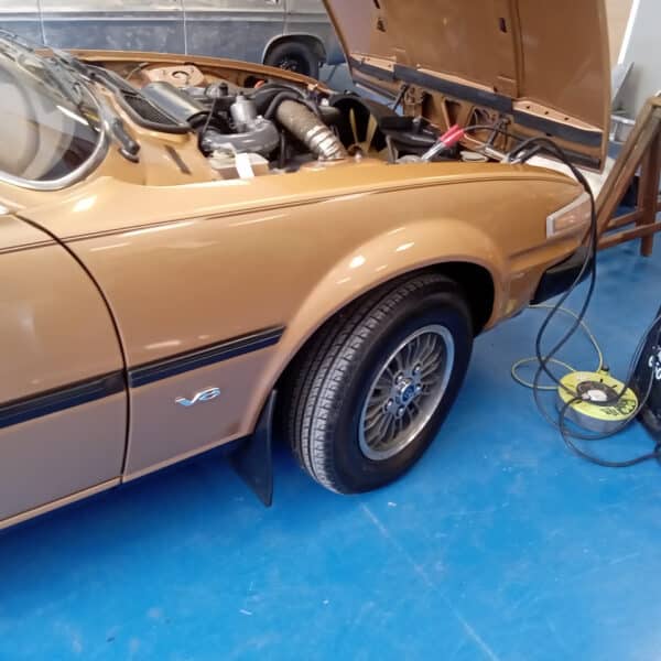 01.05.2025 1981 rover 3500 vanden plas pinstripe (9)