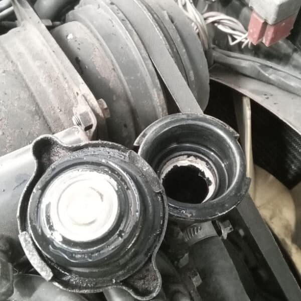 09052025 1989 daimler double six coolant leak (10)