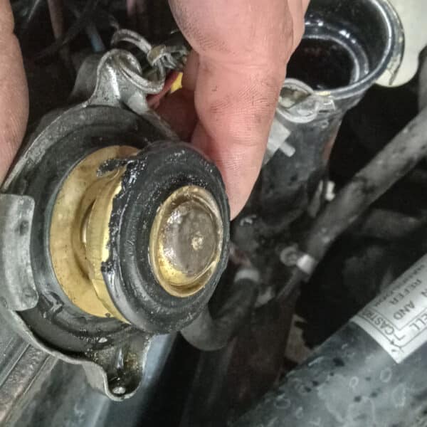 09052025 1989 daimler double six coolant leak (9)