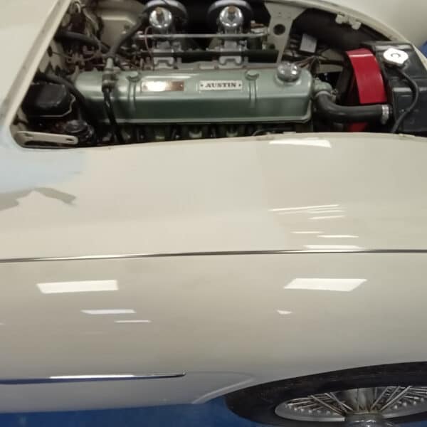 16052025 1959 Austin Healey 3000 in prime 10