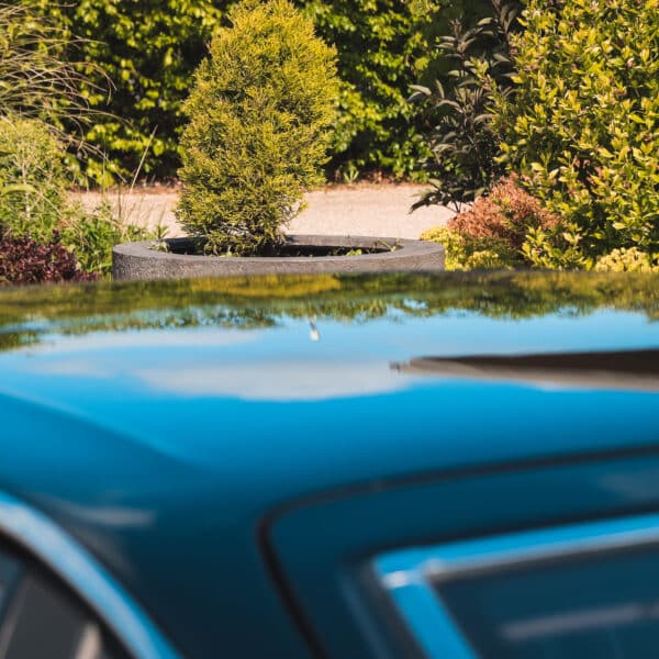 19052025 1987 Rover SD1 Vitesse arrival 16
