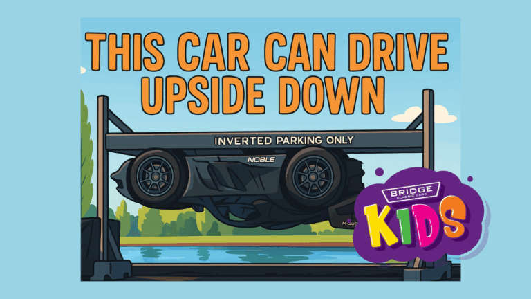 Bridge Classic Cars Kids 10