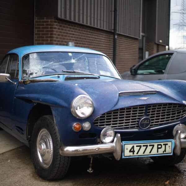 06052021 Blue jensen 3 1