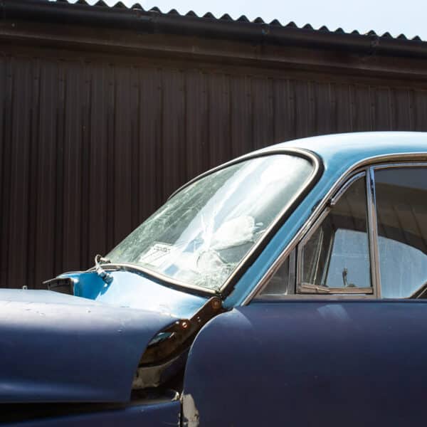 07052021 Blue jensen 07 1
