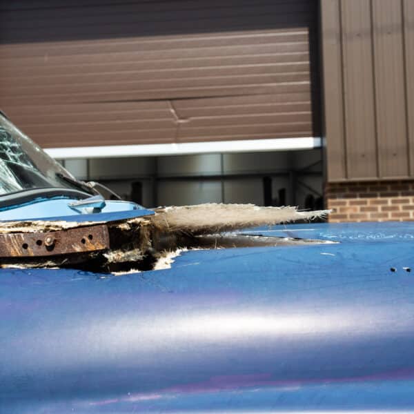07052021 Blue jensen 08 1