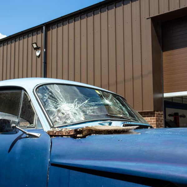 07052021 Blue jensen 10 1