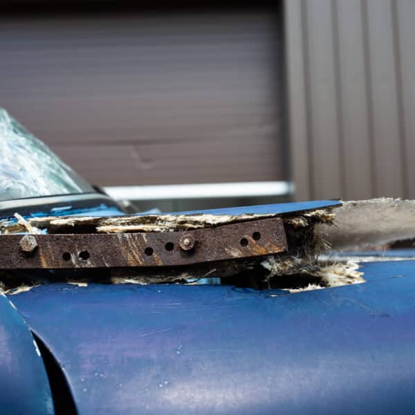 07052021 Blue jensen 12 1
