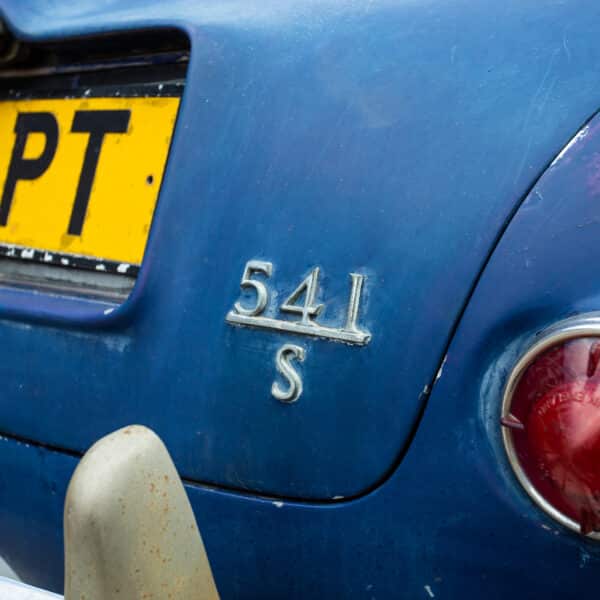 07052021 Blue jensen 13 1