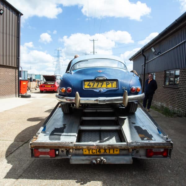 07052021 Blue jensen 16 1