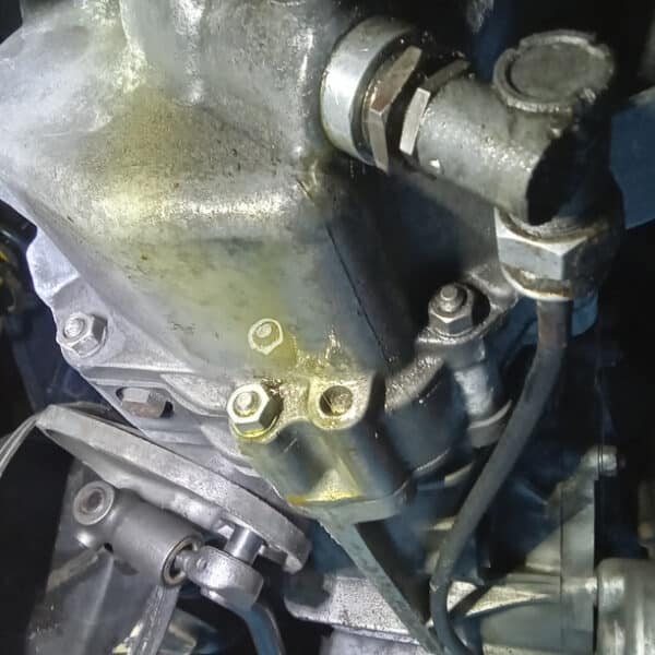 24062025 1973 Porsche 914 bushes 12