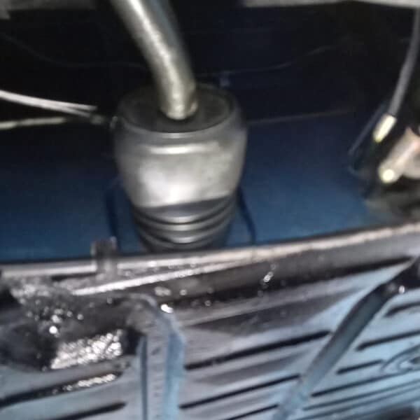 24062025 1973 Porsche 914 bushes 29