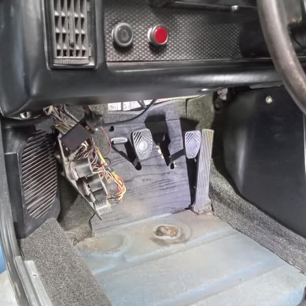 24062025 1973 Porsche 914 bushes 31