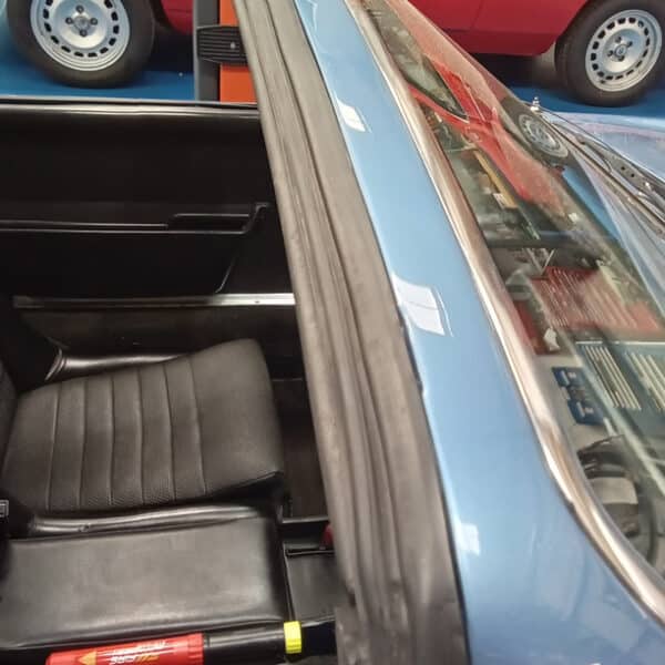 24062025 1973 Porsche 914 bushes 41