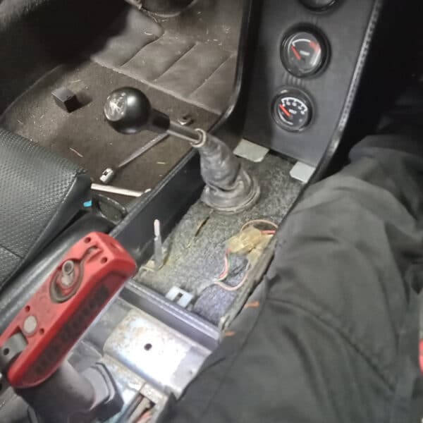 24062025 1973 Porsche 914 bushes 46