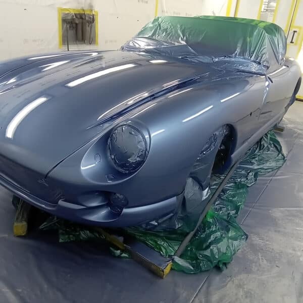 240625 1995 TVR Chimaera Paint 03