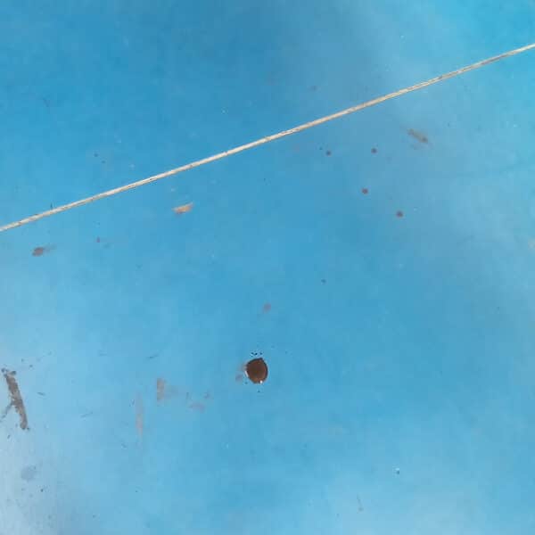 260625 1968 MGB GT Customer Concerns Repaired 2