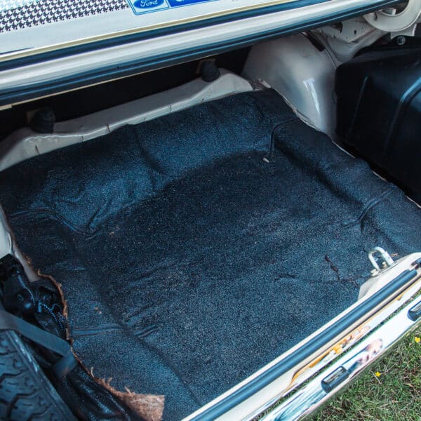 Steve Hunts 1979 Ford Escort Mk2 27