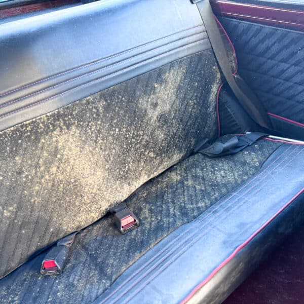 1989 Rover Mini Clean 5