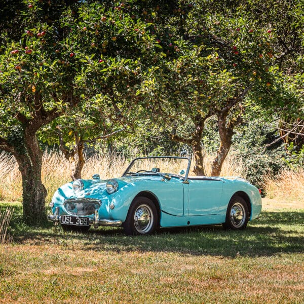 1958 Austin Healey Frogeye Sprite - Image 6