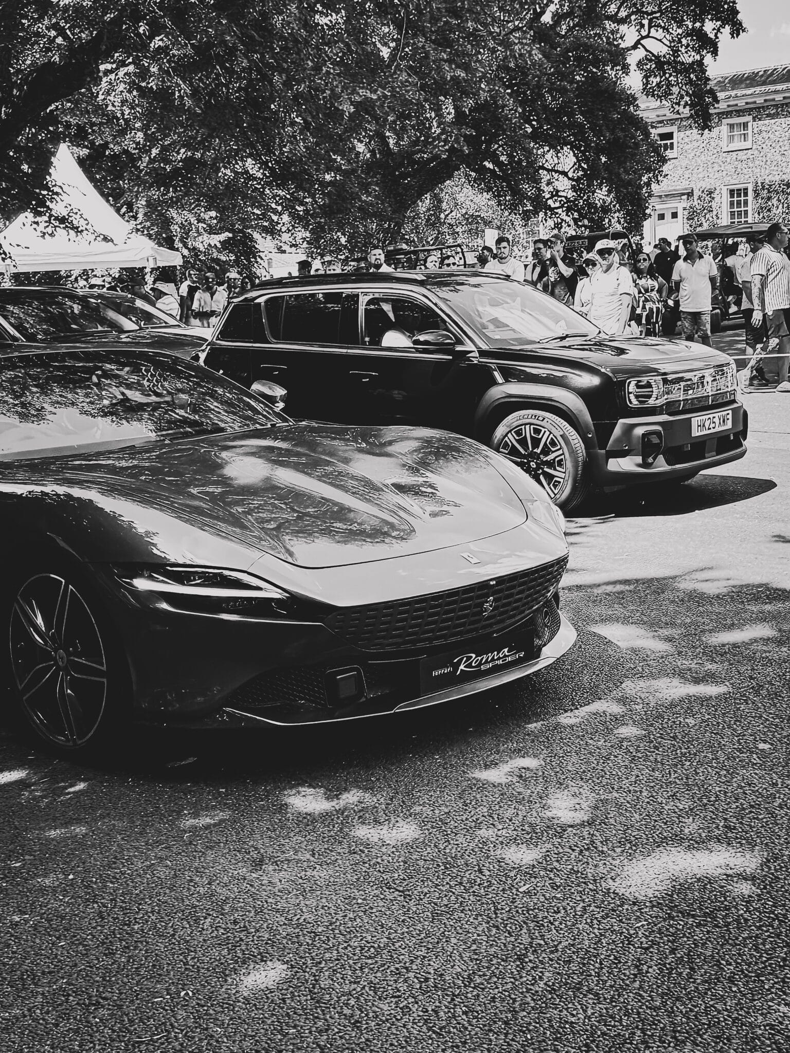 Goodwood Festival of Speed 2025 118 scaled