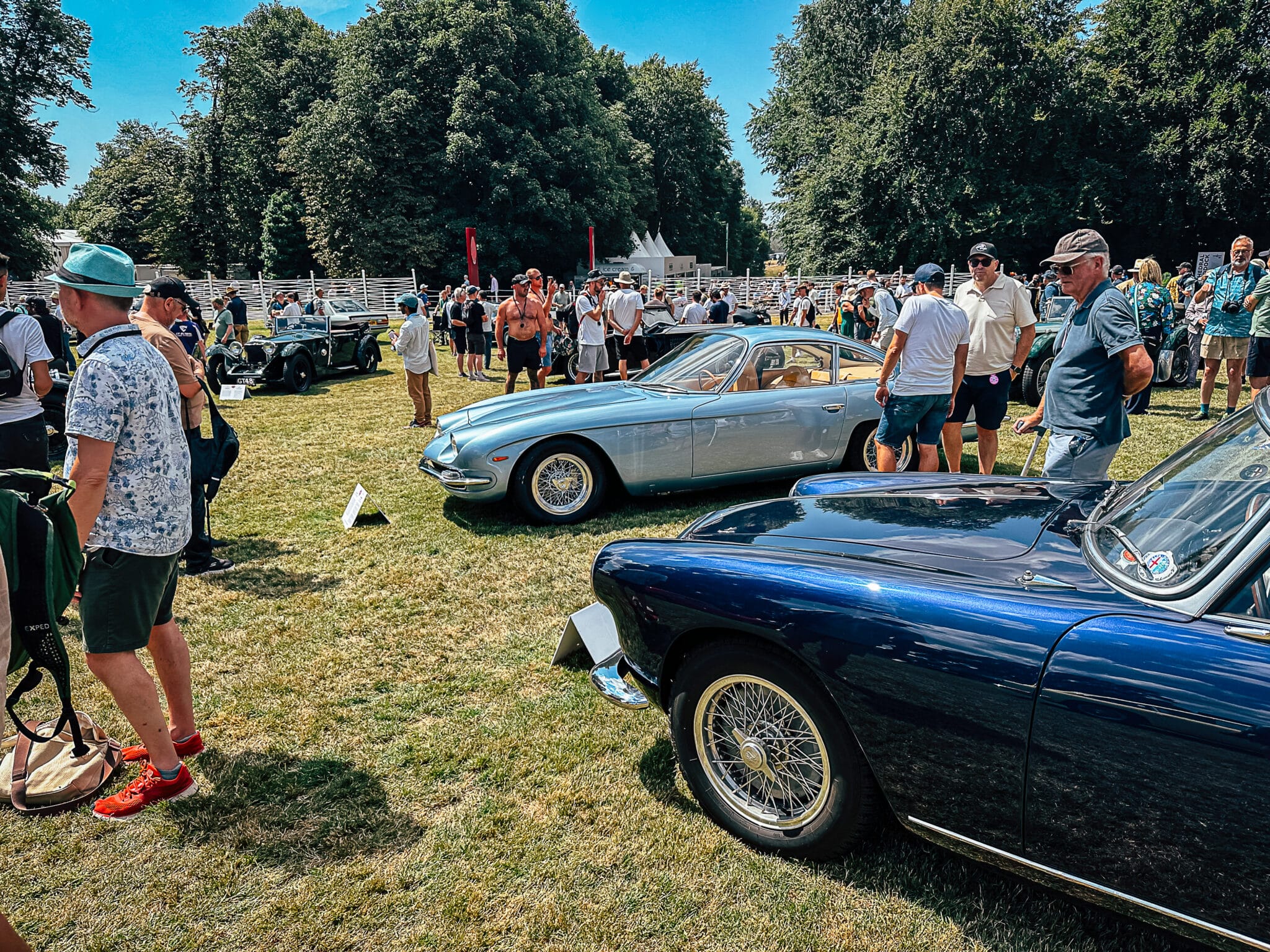 Goodwood Festival of Speed 2025 84 scaled