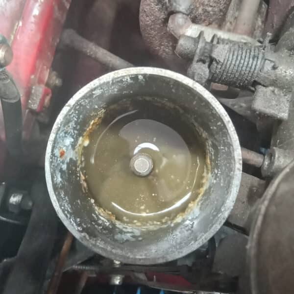 19.08.2025 1954 MG TF RED non starting investigation 34