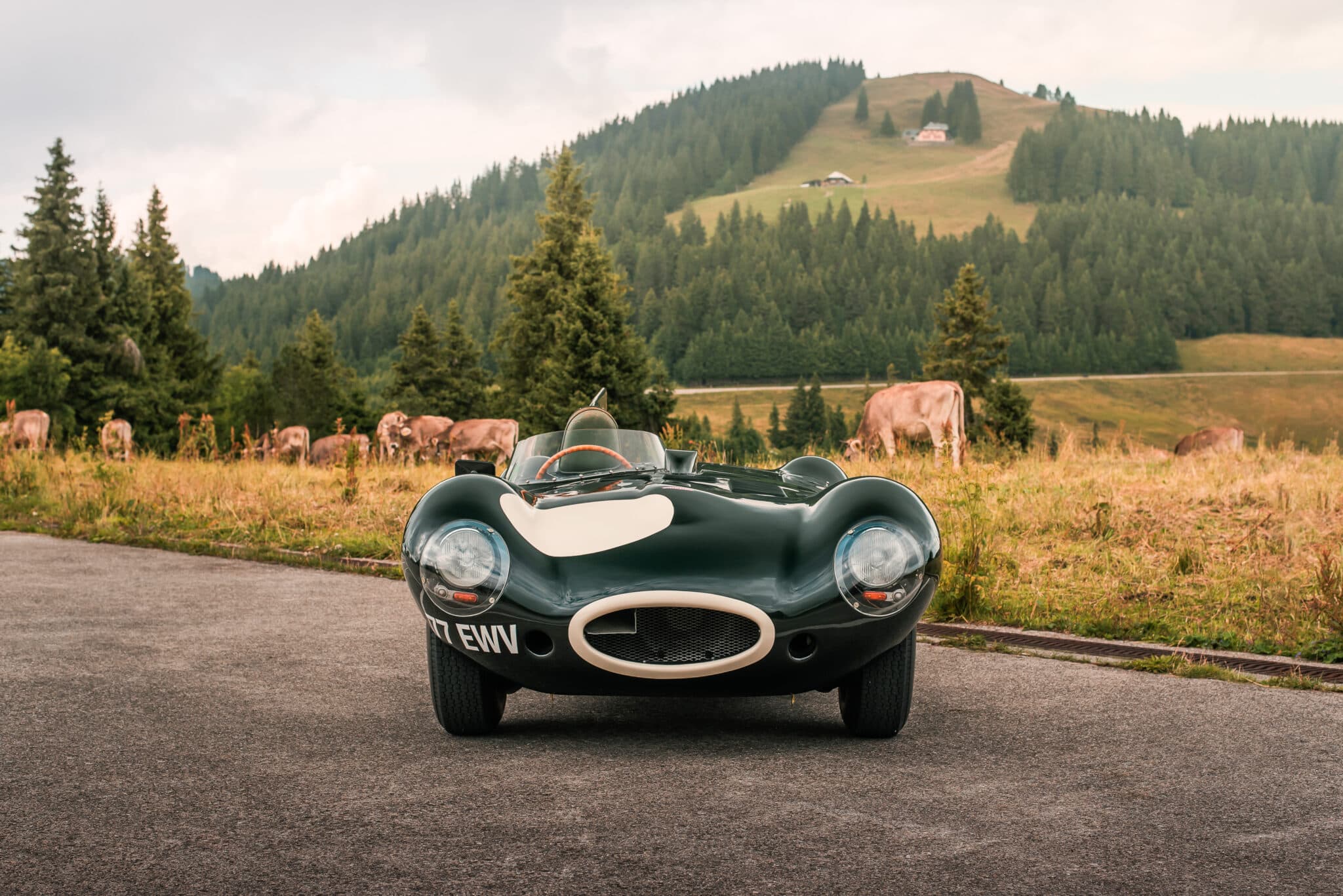 DG25 r0003 1957 Jaguar D Type 004 scaled