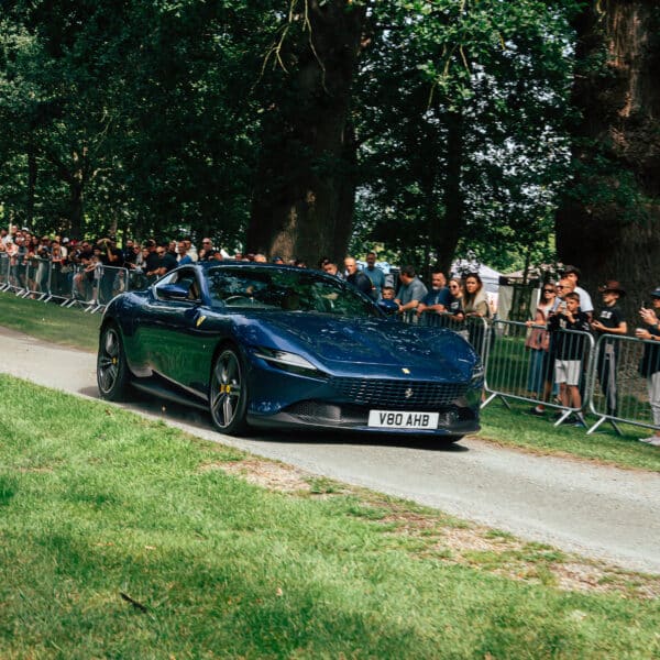 Helmingham Hall Festival of Classic and Sports Cars 2025 15