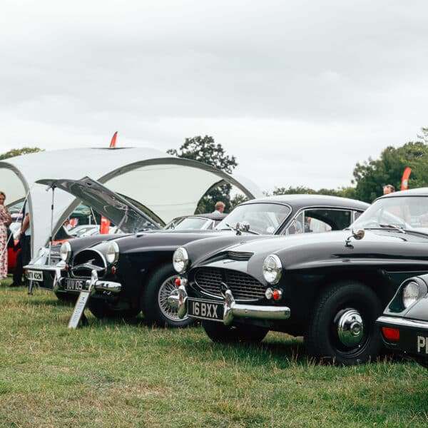 Helmingham Hall Festival of Classic and Sports Cars 2025 44