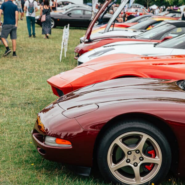 Helmingham Hall Festival of Classic and Sports Cars 2025 53