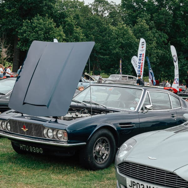 Helmingham Hall Festival of Classic and Sports Cars 2025 57