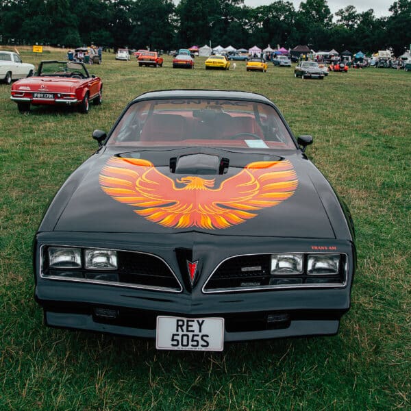 Helmingham Hall Festival of Classic and Sports Cars 2025 77