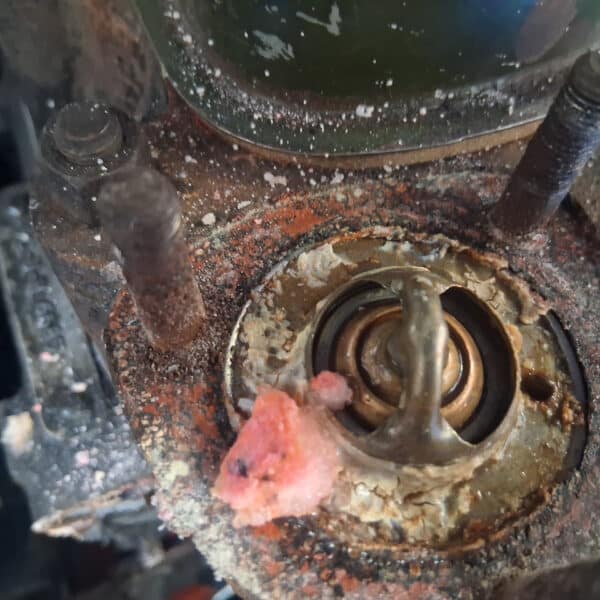 250925 1959 Austin Healey Frogeye Cylinder Head and Water Pump Removal