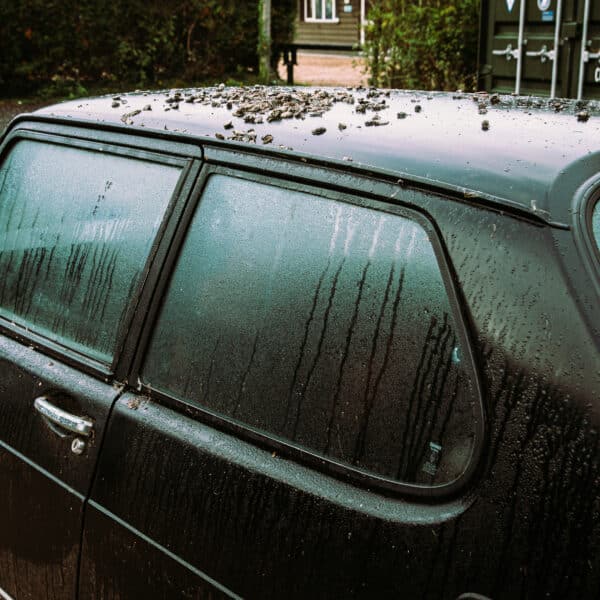 1981 Saab 99 Turbo Arrival Photoshoot 21