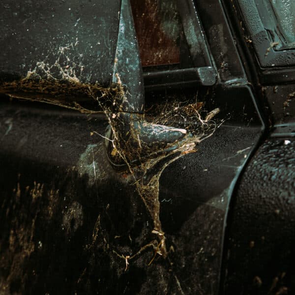 1981 Saab 99 Turbo Arrival Photoshoot 23