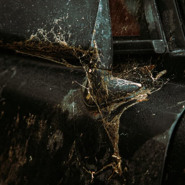 1981 Saab 99 Turbo Arrival Photoshoot 24