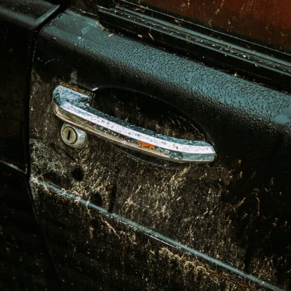 1981 Saab 99 Turbo Arrival Photoshoot 48