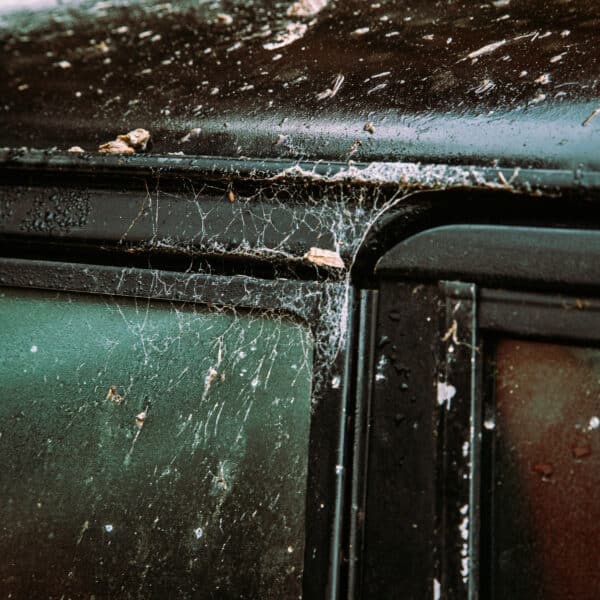 1981 Saab 99 Turbo Arrival Photoshoot 49