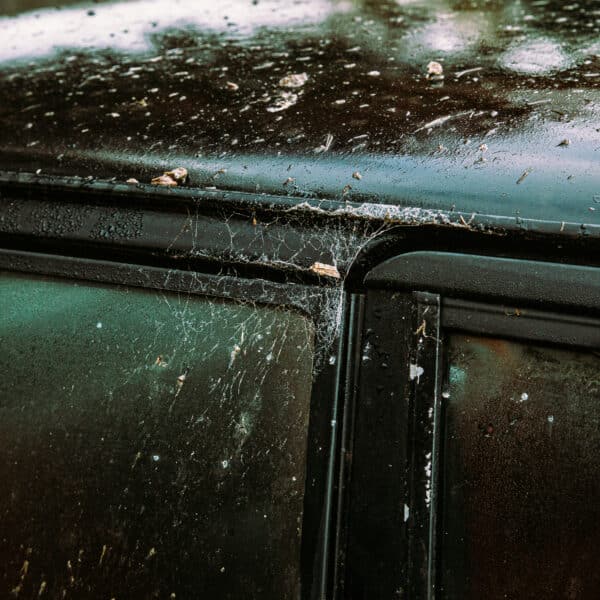 1981 Saab 99 Turbo Arrival Photoshoot 50