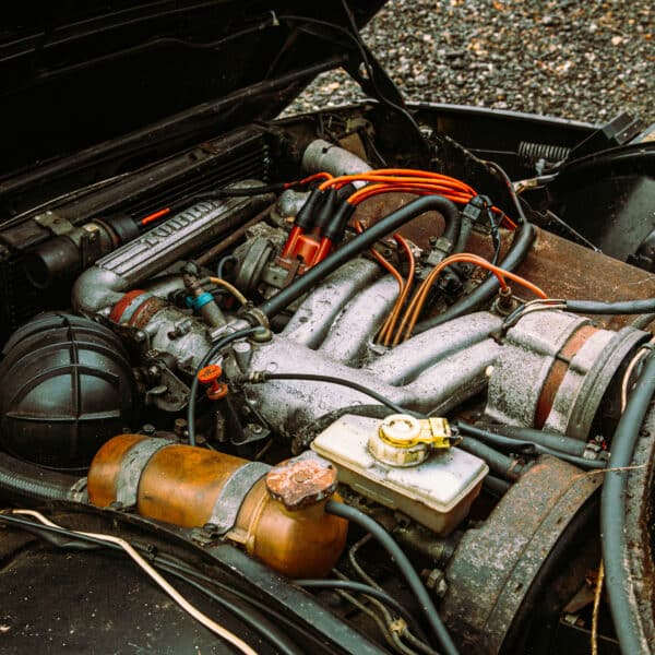 1981 Saab 99 Turbo Arrival Photoshoot 69