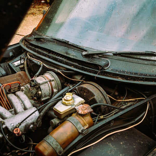 1981 Saab 99 Turbo Arrival Photoshoot 73