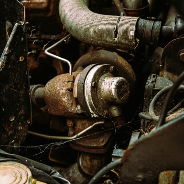 1981 Saab 99 Turbo Arrival Photoshoot 76