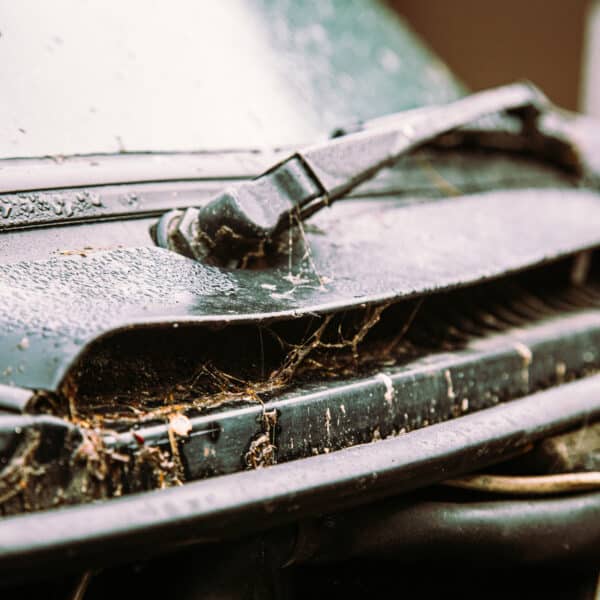 1981 Saab 99 Turbo Arrival Photoshoot 80