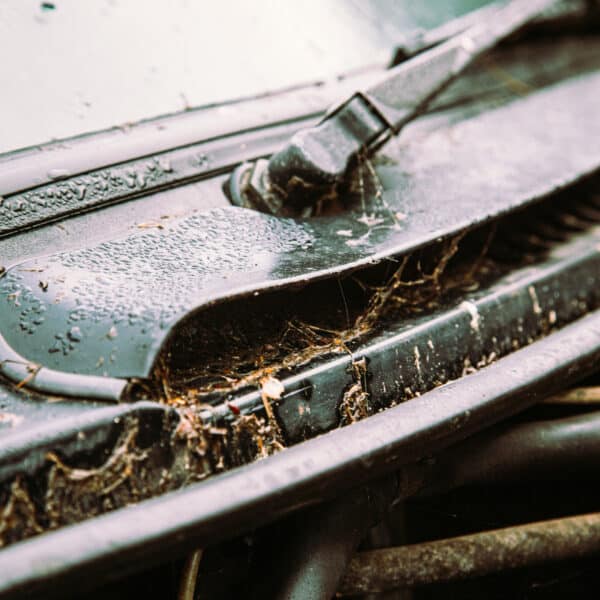 1981 Saab 99 Turbo Arrival Photoshoot 81